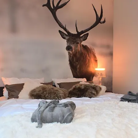 Echt-harz-fewo * 바트하르추부르크